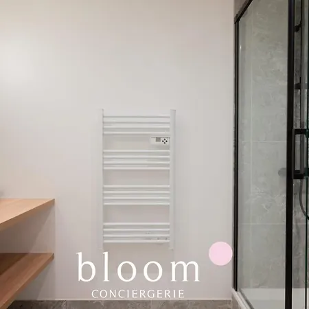 Le Duplex De Standing De Foch * Нанси