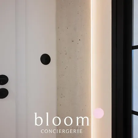 Le Duplex De Standing De Foch * Nancy