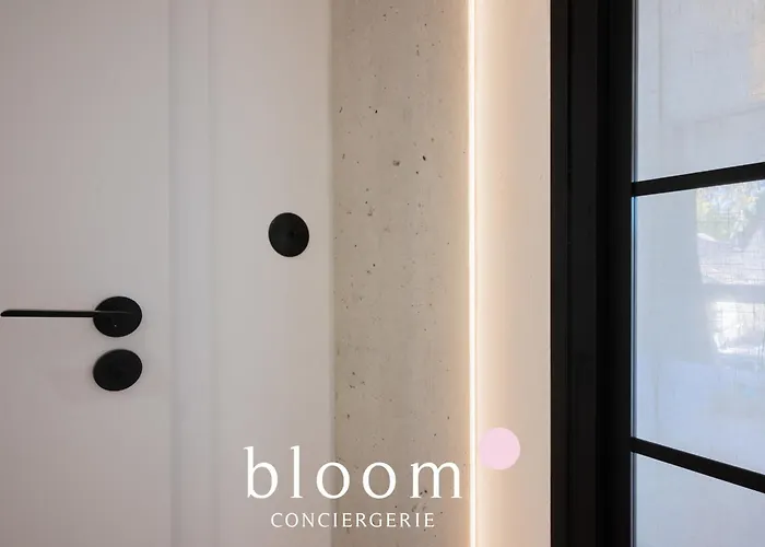 Le Duplex De Standing De Foch * Нанси